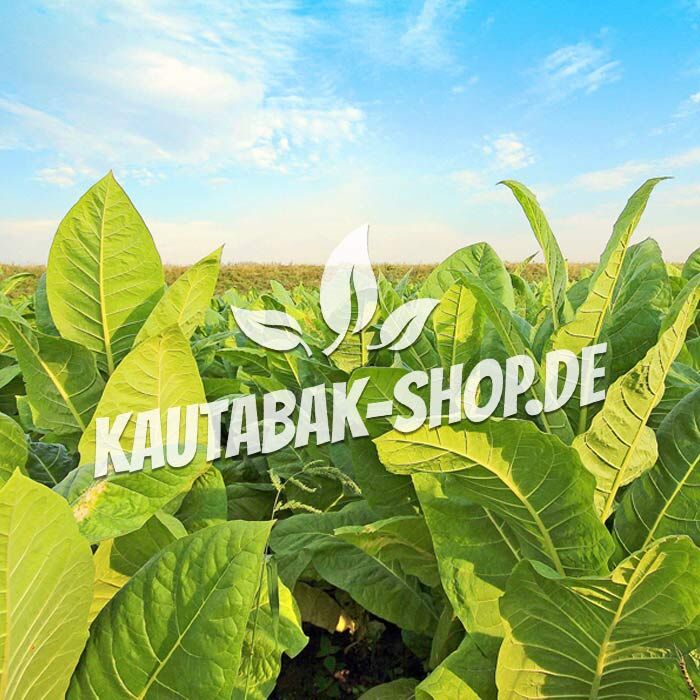 Kautabak-Shop Kategorie Hersteller und Marken Kautabak-Shop Kategorie Hersteller und Marken